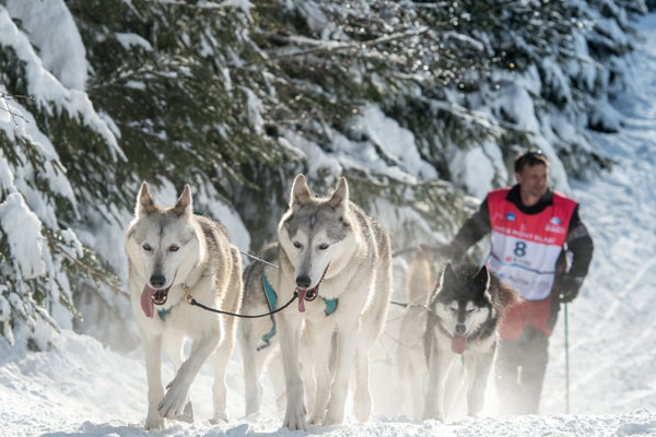 fat bike events