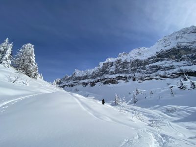 Bostan - paysage hiver